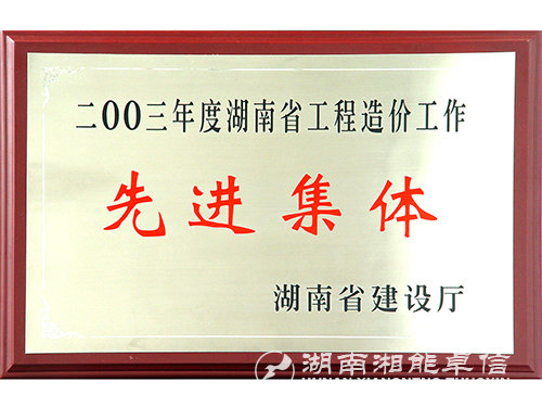 03年度湖南省工程造价工作先进集体